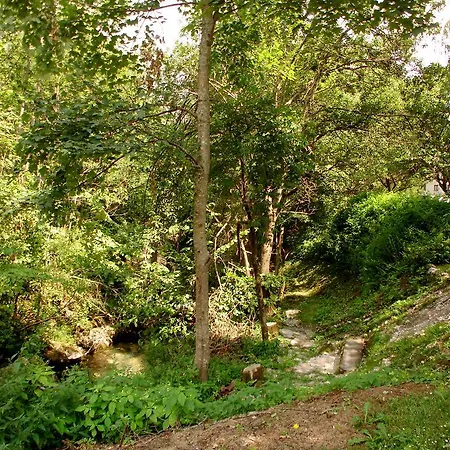 Dorem Lägenhet Kranjska Gora